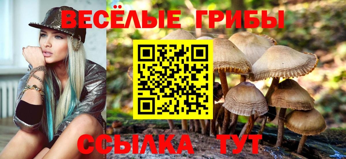 Галлюциногенные грибы Cubensis  купить наркотики сайты  Зеленокумск  Вход с VPN 