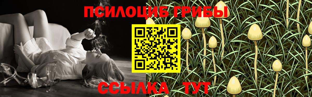 Псилоцибиновые грибы MAGIC MUSHROOMS Зеленокумск